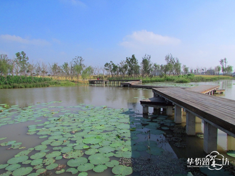 江北新风景——湿地公园
