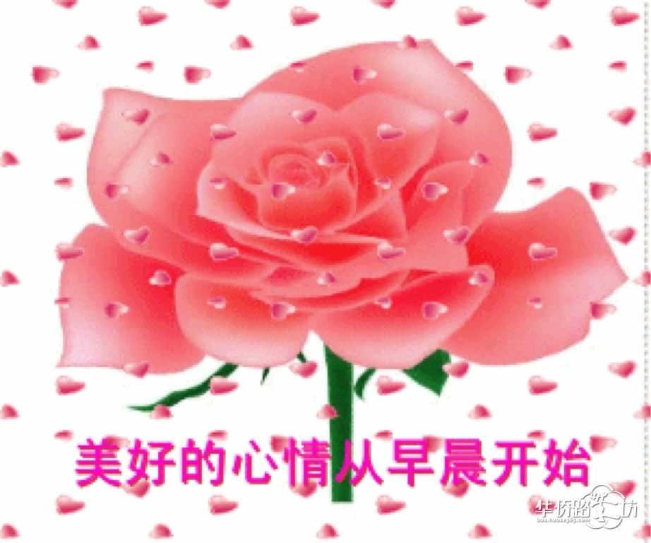 美好的心情从早晨开始_(L)朗诗绿色街区