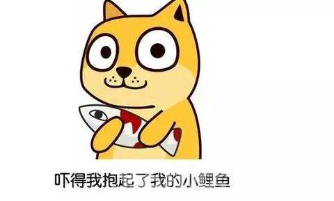 55555.png