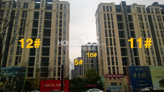 中国铁建青秀城5、10、11、12号楼施工进度 2015年2月摄 