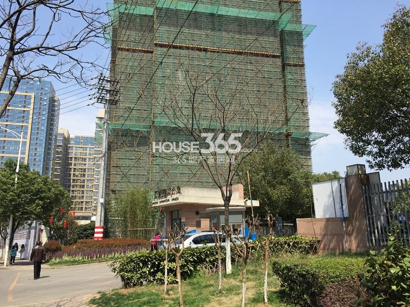 亚东观樾楼楼栋进展（3.25）