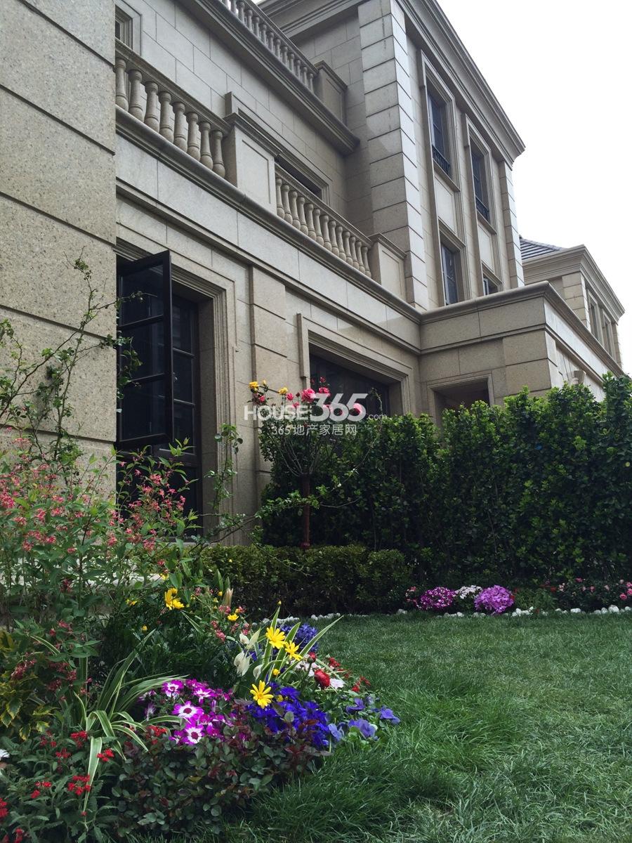 宋都橄榄墅景观实景图