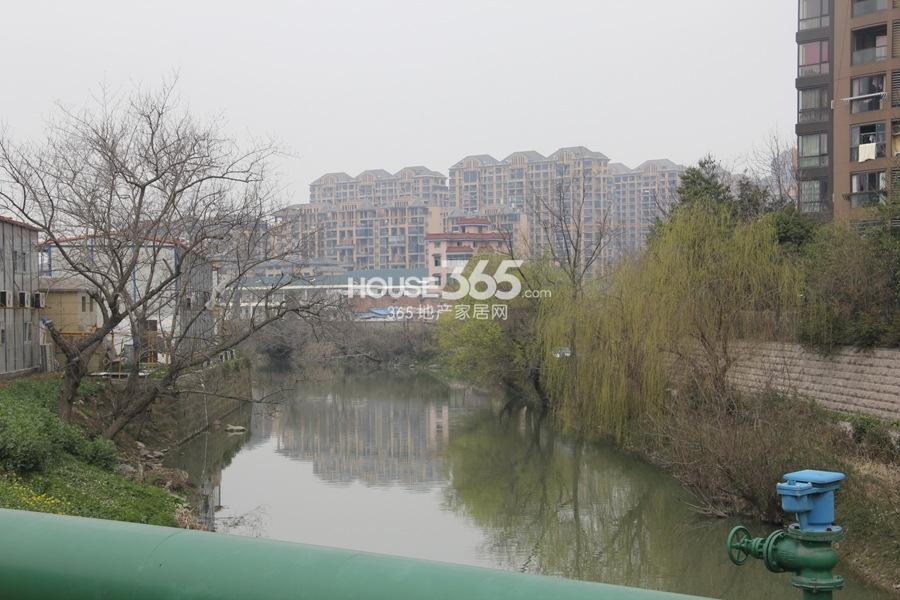 中国铁建江南国际城周边的河流  2015年3月摄