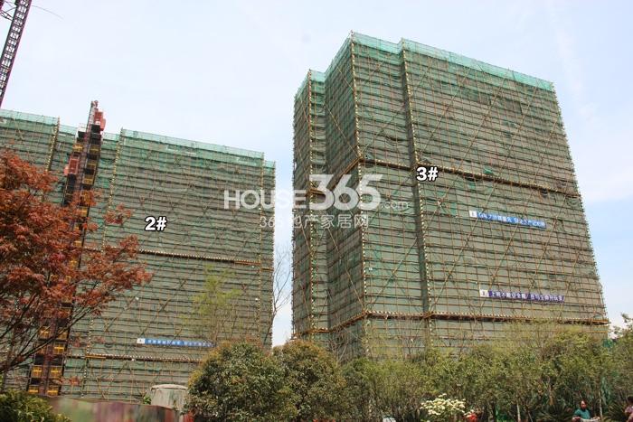 天阳尚城国际二期2、3号楼施工实景图 2015年4月摄 