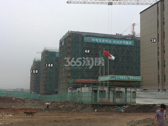合景叠彩园项目3、4、14、16号楼施工进程图（2015.6）