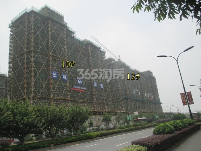 绿城蓝庭10、12号楼施工进程图（2015.6）