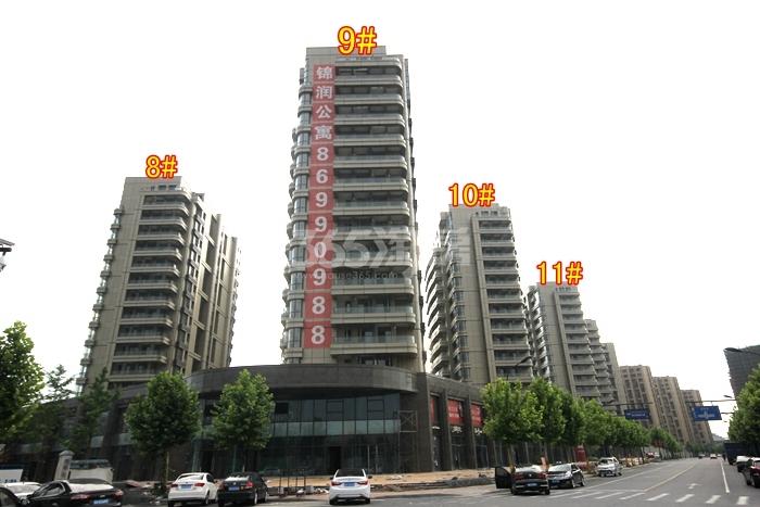 浙能广宇锦润公寓8、9、10、11号楼施工进度图 2015年6月摄 