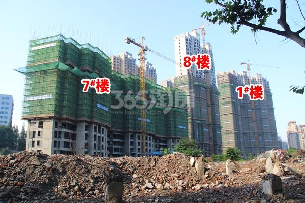 东方龙城采薇苑1#楼、7#楼、8#楼的工程进度（2015年7月摄）