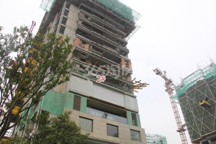 滨江华家池2号楼施工进度实景图 2015年9月摄