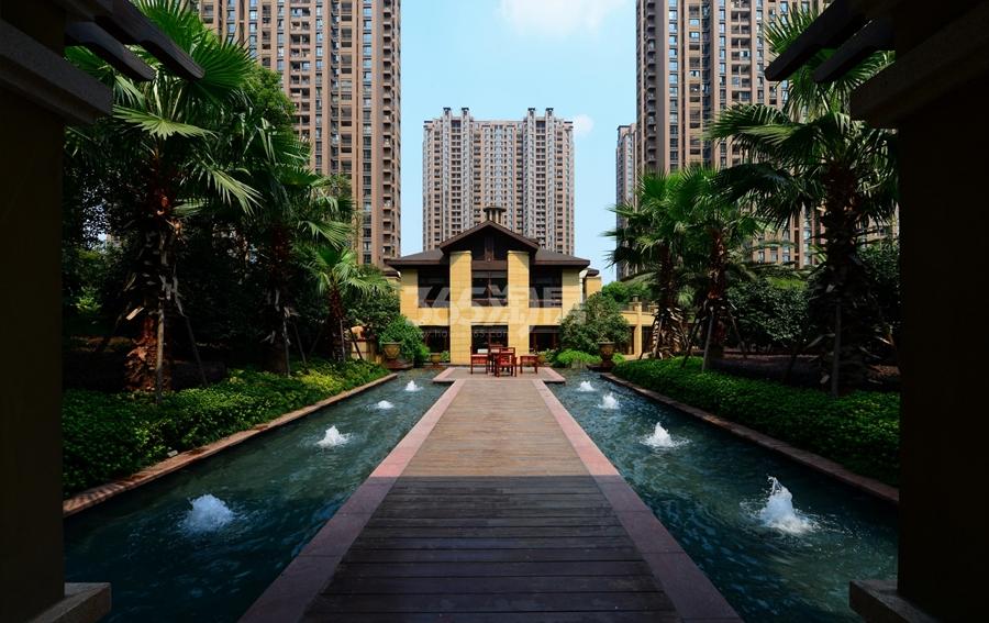 东海橙对景观实景图