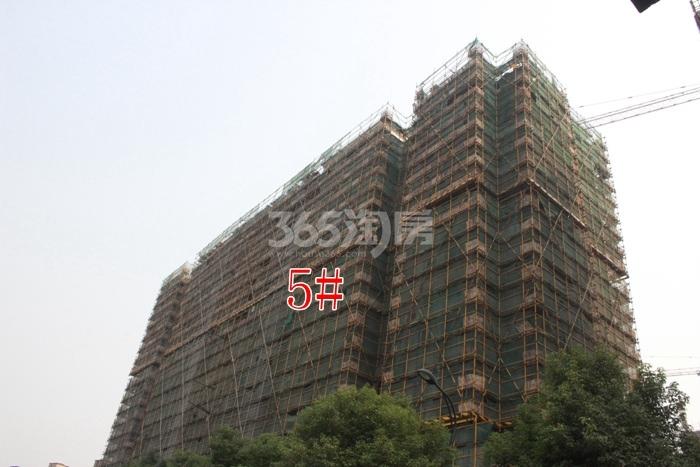 2015年10月汉嘉申花郡项目实景--5号楼
