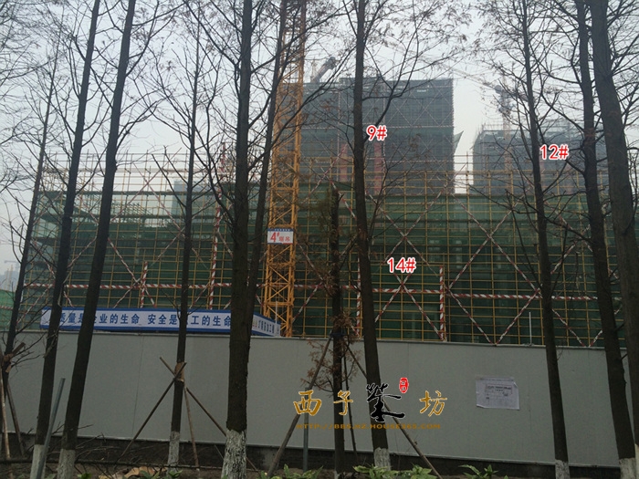 中国铁建江南国际城9、12、14号楼实景图 2015年12月摄