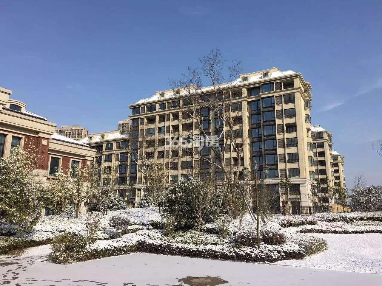 银亿东城小区雪景实景图（1.23）