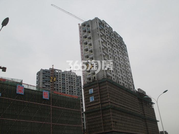 华元欢乐城1、2号楼施工进程图（2016.1）
