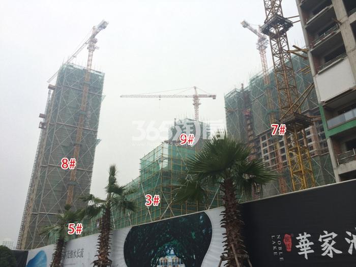滨江华家池3、5、7-9号楼施工实景图 2016年1月摄