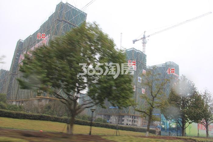 龙湖旭辉春江悦茗6、5、4号楼施工进度实景图 2016年2月摄