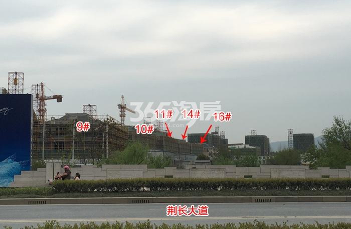 滨江西溪之星9—11、14、16号楼施工进程图（2016.3）