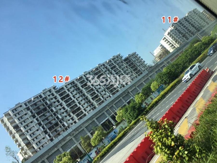 地铁绿城杨柳郡一期11、12#实景图 2017.5摄