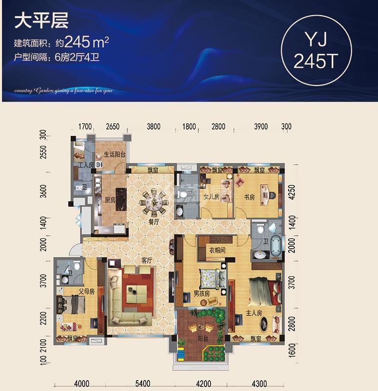 碧桂园天玺湾yj245t户型图